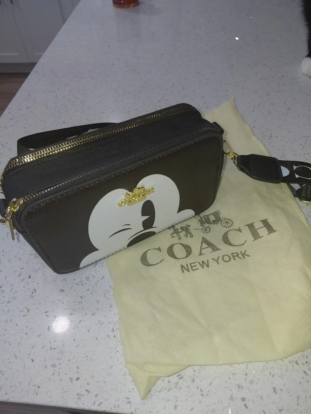 Coach Black And White Disney Mickey Crossbody Bag with Gold Hardware